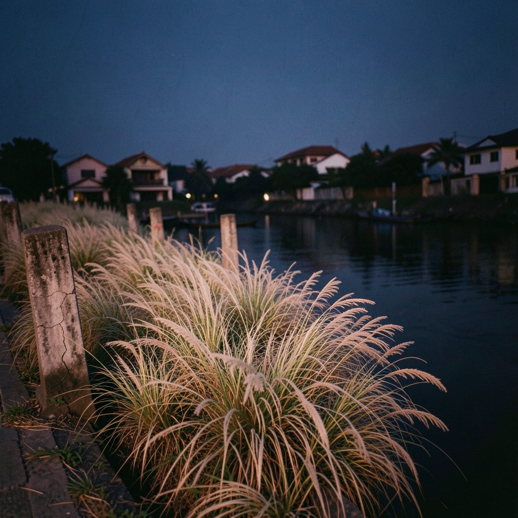 Dusk photograph of a Bangkok canal bank with grass, posts, and still water, no signs or lettering